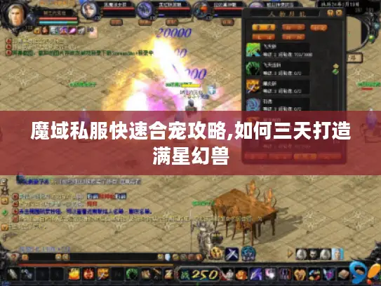 魔域私服快速合宠攻略,如何三天打造满星幻兽