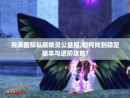 完美国际私服精灵公益服,如何找到稳定版本与进阶攻略?