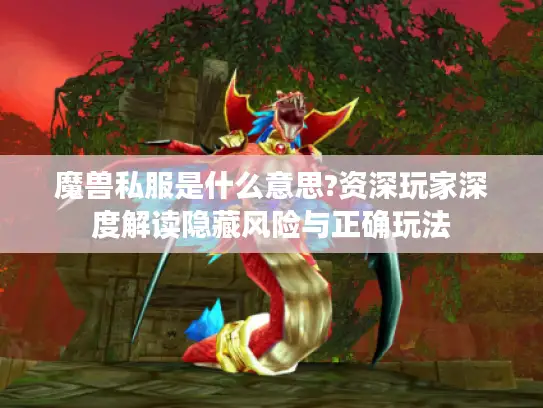 魔兽私服是什么意思?资深玩家深度解读隐藏风险与正确玩法