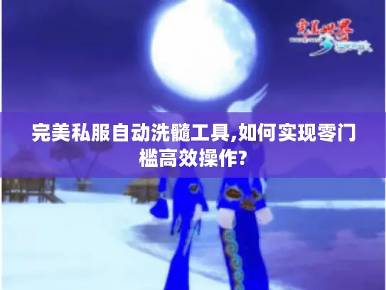 完美私服自动洗髓工具,如何实现零门槛高效操作?