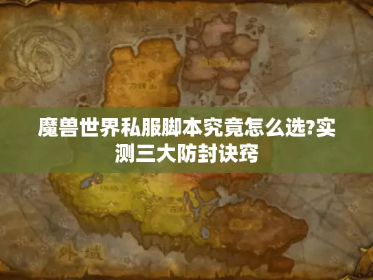魔兽世界私服脚本究竟怎么选?实测三大防封诀窍