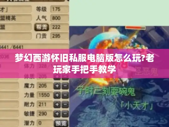 梦幻西游怀旧私服电脑版怎么玩?老玩家手把手教学