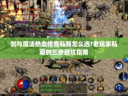剑与魔法热血传奇私服怎么选?老玩家私藏的三步避坑指南