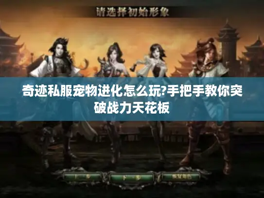 奇迹私服宠物进化怎么玩?手把手教你突破战力天花板