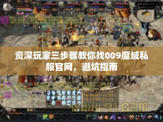 资深玩家三步骤教你找009魔域私服官网，避坑指南