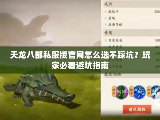 天龙八部私服版官网怎么选不踩坑？玩家必看避坑指南