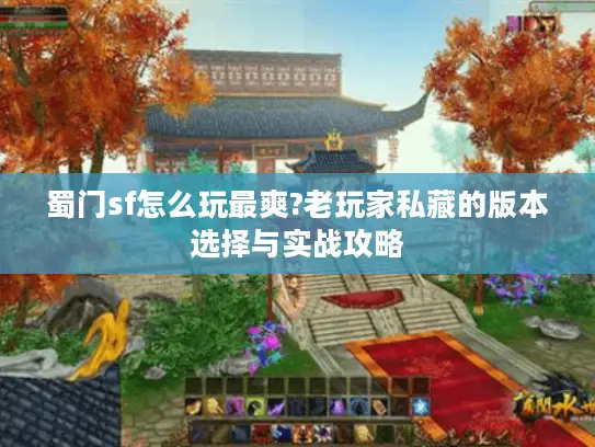 蜀门sf怎么玩最爽?老玩家私藏的版本选择与实战攻略
