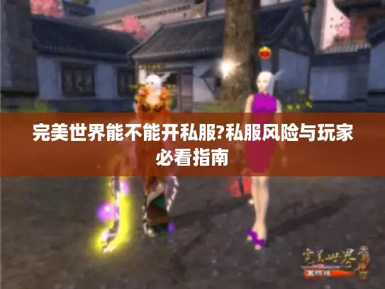 完美世界能不能开私服?私服风险与玩家必看指南 完美世界能不能开私服?私服风险与玩家必看指南