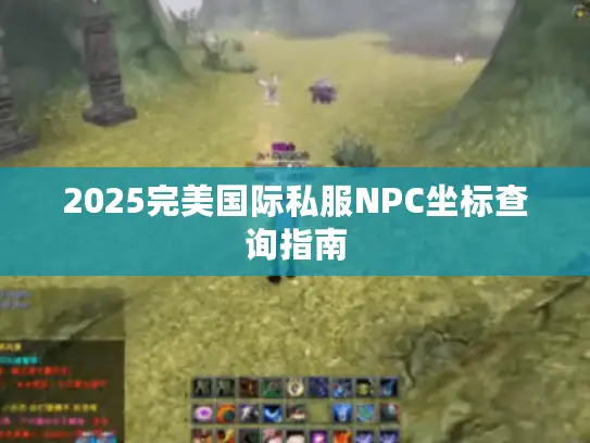 2025完美国际私服NPC坐标查询指南