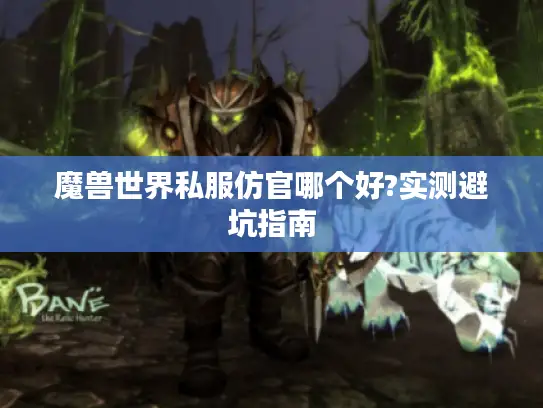 魔兽世界私服仿官哪个好?实测避坑指南