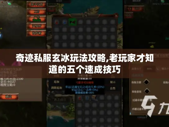 奇迹私服玄冰玩法攻略,老玩家才知道的五个速成技巧
