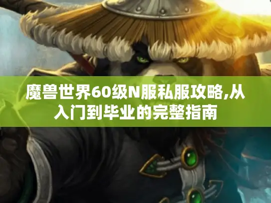 魔兽世界60级N服私服攻略,从入门到毕业的完整指南