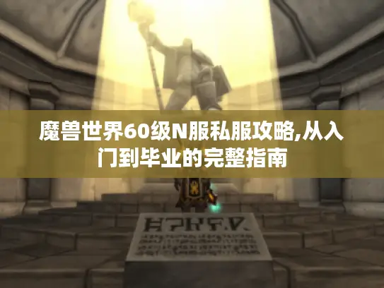魔兽世界60级N服私服攻略,从入门到毕业的完整指南