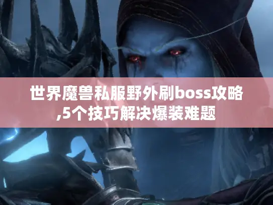 世界魔兽私服野外刷boss攻略,5个技巧解决爆装难题 世界魔兽私服野外刷boss攻略,5个技巧解决爆装难题