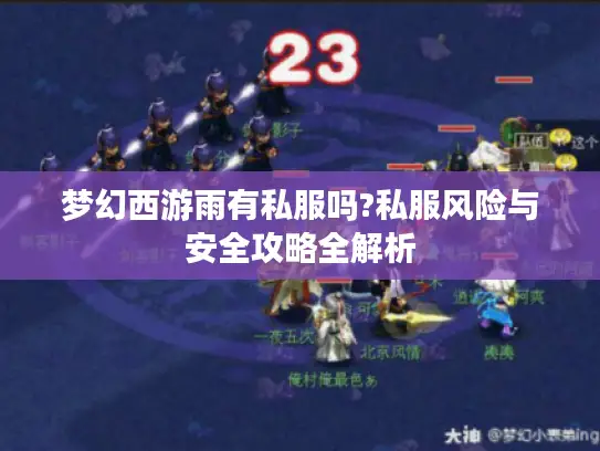 梦幻西游雨有私服吗?私服风险与安全攻略全解析 梦幻西游雨有私服吗?私服风险与安全攻略全解析