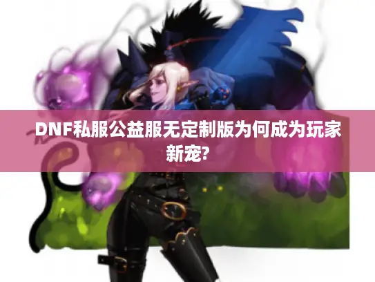 DNF私服公益服无定制版为何成为玩家新宠?