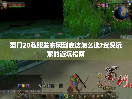 蜀门20私服发布网到底该怎么选?资深玩家的避坑指南