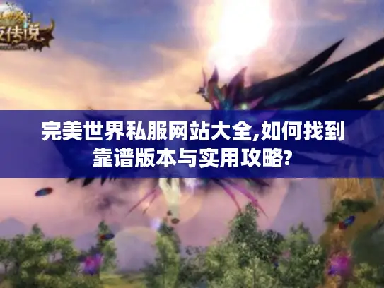 完美世界私服网站大全,如何找到靠谱版本与实用攻略?