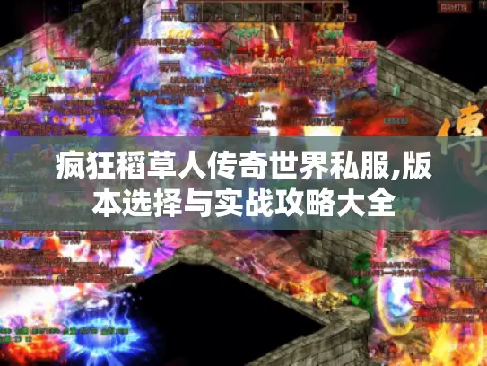 疯狂稻草人传奇世界私服,版本选择与实战攻略大全 疯狂稻草人传奇世界私服,版本选择与实战攻略大全