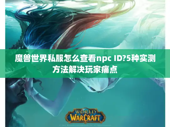 魔兽世界私服怎么查看npc ID?5种实测方法解决玩家痛点