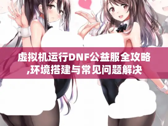 虚拟机运行DNF公益服全攻略,环境搭建与常见问题解决