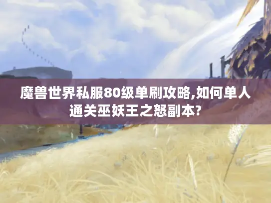 魔兽世界私服80级单刷攻略,如何单人通关巫妖王之怒副本?