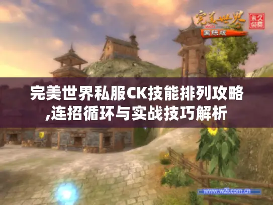 完美世界私服CK技能排列攻略,连招循环与实战技巧解析 完美世界私服CK技能排列攻略,连招循环与实战技巧解析