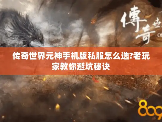 传奇世界元神手机版私服怎么选?老玩家教你避坑秘诀 传奇世界元神手机版私服怎么选?老玩家教你避坑秘诀