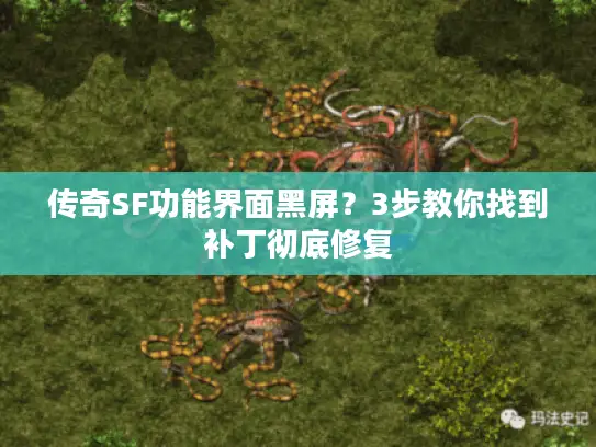 传奇SF功能界面黑屏？3步教你找到补丁彻底修复