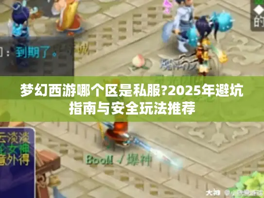 梦幻西游哪个区是私服?2025年避坑指南与安全玩法推荐