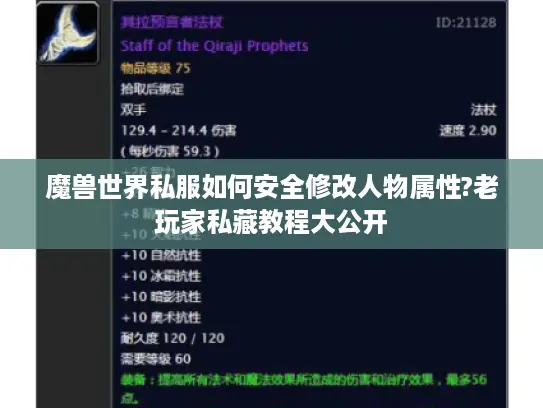 魔兽世界私服如何安全修改人物属性?老玩家私藏教程大公开 魔兽世界私服如何安全修改人物属性?老玩家私藏教程大公开