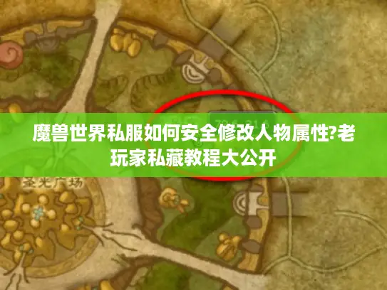 魔兽世界私服如何安全修改人物属性?老玩家私藏教程大公开 魔兽世界私服如何安全修改人物属性?老玩家私藏教程大公开
