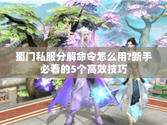 蜀门私服分解命令怎么用?新手必看的5个高效技巧