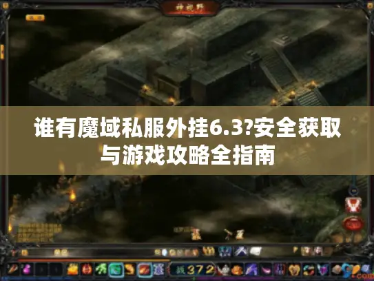 谁有魔域私服外挂6.3?安全获取与游戏攻略全指南