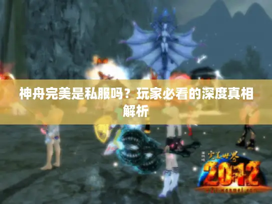 神舟完美是私服吗？玩家必看的深度真相解析