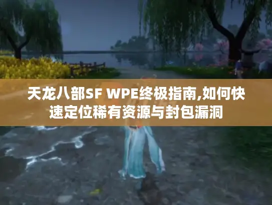 天龙八部SF WPE终极指南,如何快速定位稀有资源与封包漏洞