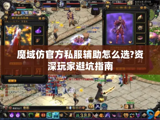 魔域仿官方私服辅助怎么选?资深玩家避坑指南