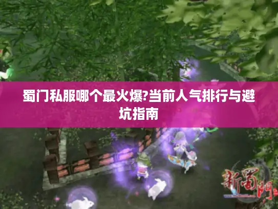 蜀门私服哪个最火爆?当前人气排行与避坑指南 蜀门私服哪个最火爆?当前人气排行与避坑指南