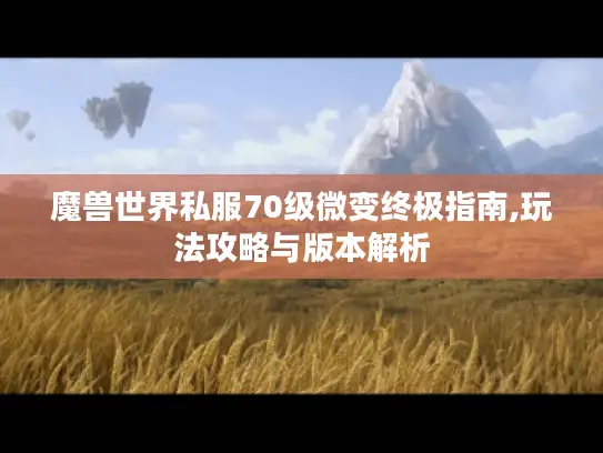 魔兽世界私服70级微变终极指南,玩法攻略与版本解析
