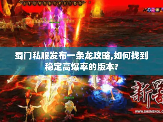 蜀门私服发布一条龙攻略,如何找到稳定高爆率的版本?