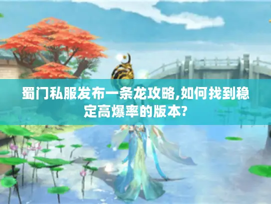 蜀门私服发布一条龙攻略,如何找到稳定高爆率的版本?