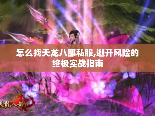 怎么找天龙八部私服,避开风险的终极实战指南