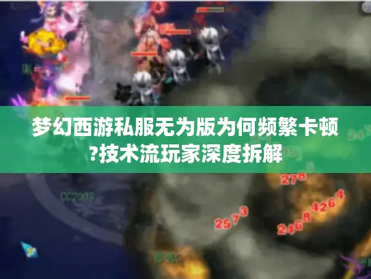 梦幻西游私服无为版为何频繁卡顿?技术流玩家深度拆解
