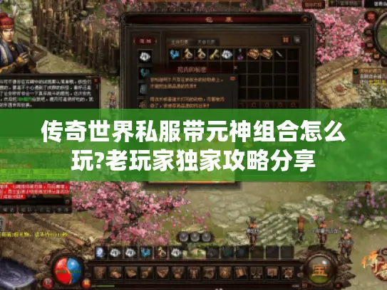 传奇世界私服带元神组合怎么玩?老玩家独家攻略分享