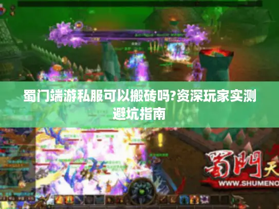 蜀门端游私服可以搬砖吗?资深玩家实测避坑指南