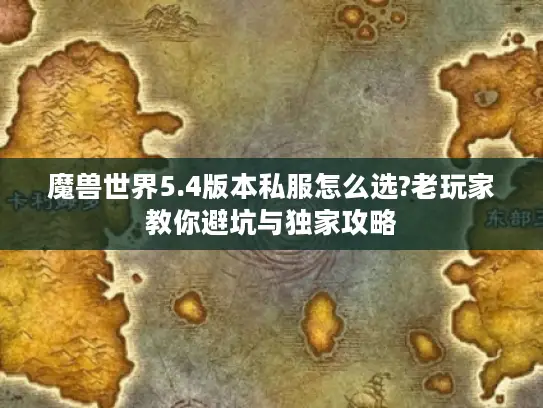 魔兽世界5.4版本私服怎么选?老玩家教你避坑与独家攻略