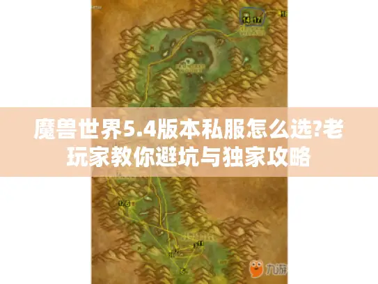 魔兽世界5.4版本私服怎么选?老玩家教你避坑与独家攻略