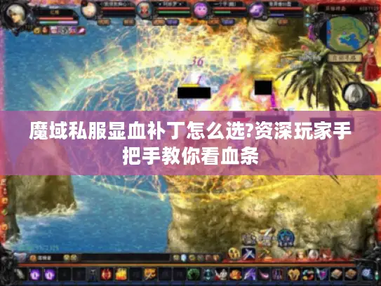 魔域私服显血补丁怎么选?资深玩家手把手教你看血条