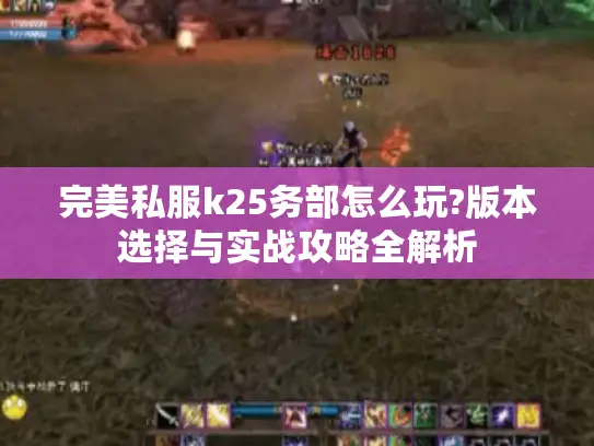 完美私服k25务部怎么玩?版本选择与实战攻略全解析 完美私服k25务部怎么玩?版本选择与实战攻略全解析