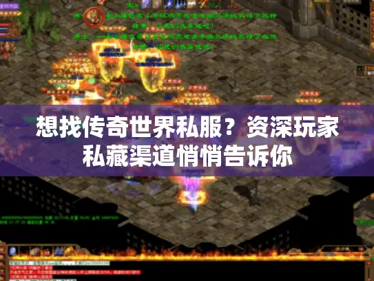 想找传奇世界私服？资深玩家私藏渠道悄悄告诉你